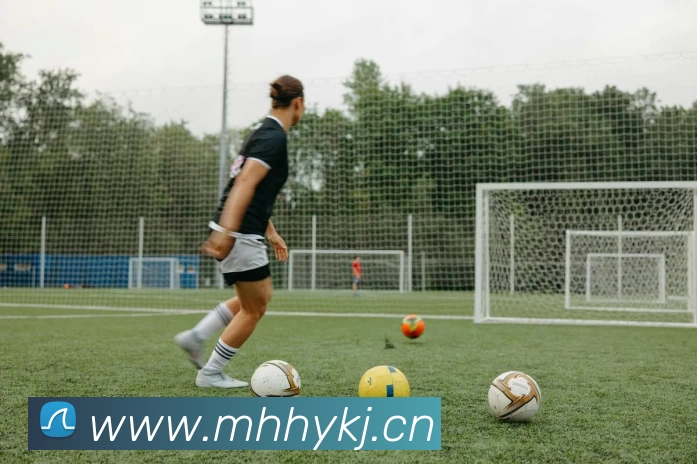 多媒体互动体验